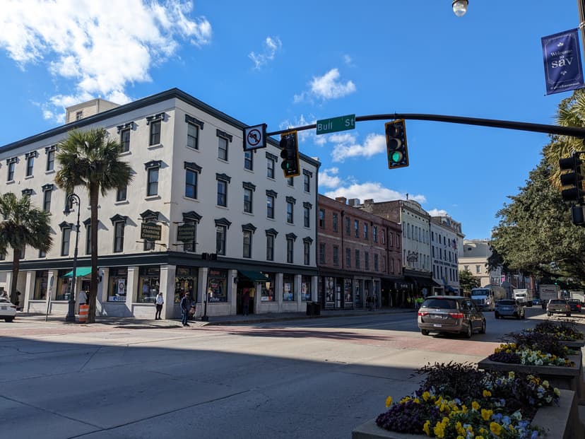 Savannah skyline